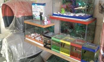 Imagem 4: Vende-se casa de ração