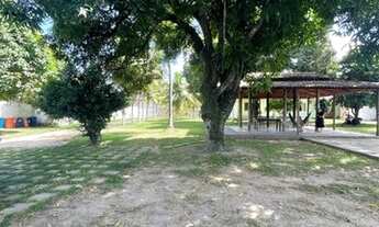 Imagem 6: Vende-se Chácara em Jardim Lomoeiro 10milm2