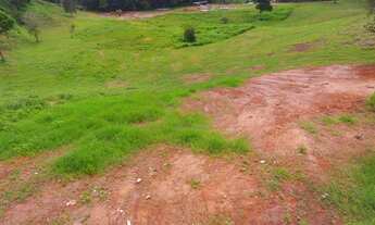 Imagem 7: Lotes exclusivos no Cônego - Lote 24