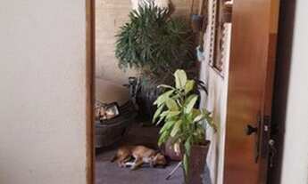 Imagem 5: SÃO JOSÉ DO RIO PRETO - Casa Padrão - PARQUE RESIDENCIAL UNIVERSO