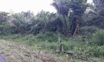 Imagem 7: Fazenda para pecuaria em Caxias do Maranhão