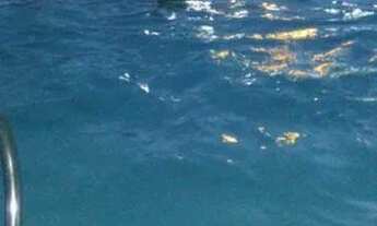 Imagem: Alugo quarto pra moça bairro Itaipava