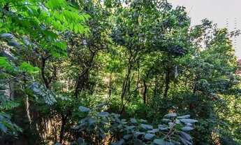 Imagem 4: Apartamento Triplex Residencial à venda, Vila Tramontano, São Paulo - AT0014