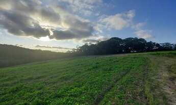 Imagem 3: Lote/Terreno para venda possui 600 metros quadrados em Centro - Cotia - SP
