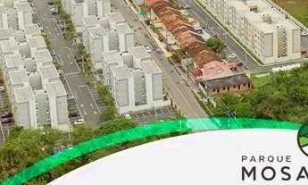 Imagem 4: PARQUE MOSAICO / VISTA DAS PAINEIRAS