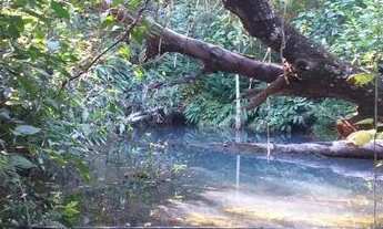 Imagem: Chácara Luziânia 20.000m2 casa 2qts valor