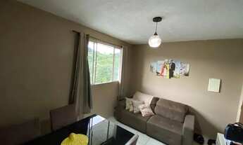 Imagem 2: Jardim Paradiso Alpinia