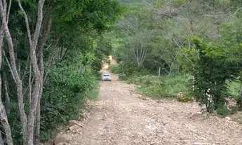 Imagem 2: Terreno no Vale do Capão