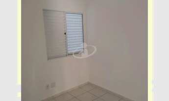 Imagem 7: Aluguel Casa JARDIM CALIFORNIA