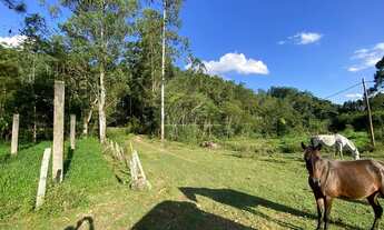 Imagem 7: Fazenda à venda, 4 Quartos, 2 galpões, casa para caseiro, 240000M², Bairro dos Gonçalves