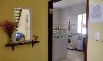 Imagem 4: Amendoeiras Temporada