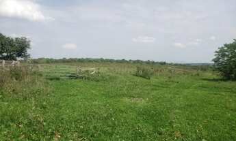 Imagem 4: Fazenda 1095 ha Rio Negro/MS