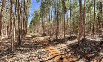 Imagem: Excelente terreno com12,5 hectares em Itaúna/MG