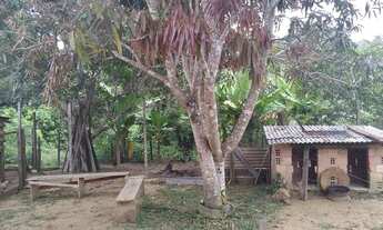 Imagem 5: Chácara 70 mil em Cariacica