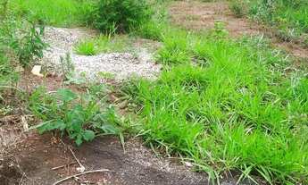 Imagem: Chácara 3000 m2