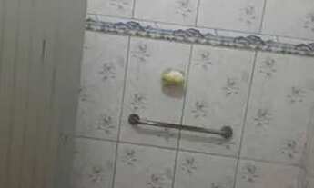 Imagem 4: Gs- Saia Já Do Aluguel