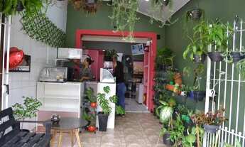 Imagem 4: Vendo cafe e floricultura