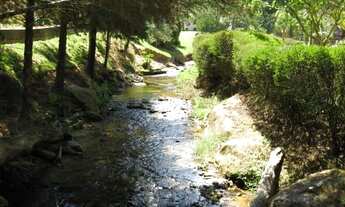 Imagem 3: Chácara com 3 dormitórios à venda, 93245 m² por R$ 1.100.000,00 - Riograndina - Nova Fribu