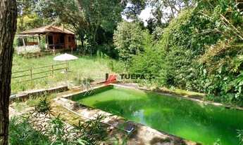 Imagem 2: Fazenda c/ 6 dorm à venda c/ 55 alqueires por R$ 8.000.000,00 - Area Rural - Descalvado/SP