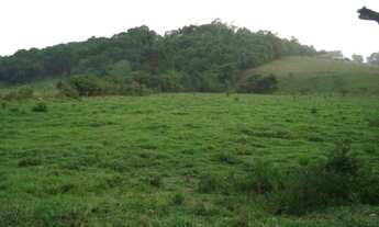 Imagem 6: 30 mil metros quadrados em São João - Caconde - São Paulo