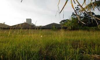 Imagem 4: Terreno Residencial à Venda no Santa Mônica, Florianópolis !!