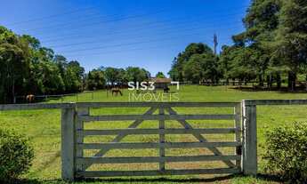 Imagem 6: Chácara cinematográfica à venda em São José dos Pinhais 80.000 m² de terreno, casa princi