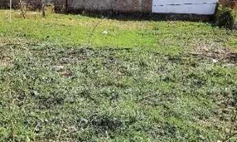 Imagem 2: Terreno vende-se