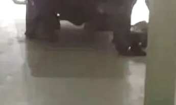 Imagem 4: Ponto para alugar, 120 m² por R$ 3.025,00/mês - Cabula VI - Salvador/BA