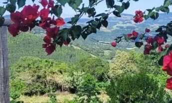 Imagem 4: Sítio com casa em rolante