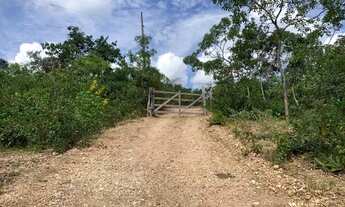 Imagem 2: Terreno rural 2,3ha com rio nos fundos Jaboticatubas