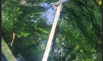 Imagem 6: Chácara a venda na Roseira divisa de Colombo/ Campina Grande do Sul