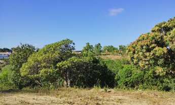 Imagem 4: Ipioca, terreno chácara com 5 mil m2