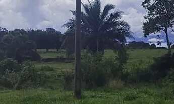 Imagem 5: Fazenda em Pontalina