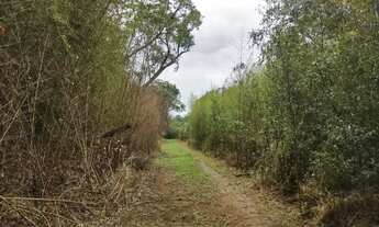 Imagem 7: Área de 3.000m² em Ibiúna Espaço, Privacidade e Alto Potencial de Valorização