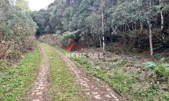 Imagem 4: Lote em Rua 6 Alpes - Alpes - São Francisco de Paula/RS