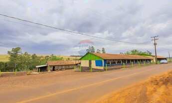 Imagem 8: Granja de Suínos Terminação