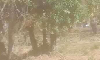 Imagem: Chacara rural no sítio novo