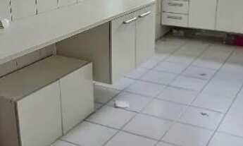 Imagem: Alugo apartamento de 3/4 sendo uma suíte