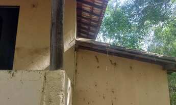 Imagem 3: 10000 metros com curso dágua no centro do terreno. Condomínio Sete Lagos