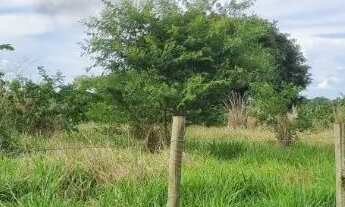 Imagem: Terreno chácara sitio 2 mil metros