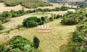 Imagem: Chacara 11 alqueires (53,24 hectares) araçu