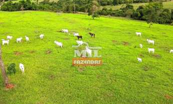 Imagem 6: Chácara 11,73 alqueires (56 hectares) Taquaral - Go