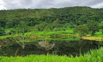Imagem 2: Vende-se fazenada em Faina-Goias com 55 Alqueires