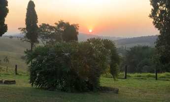 Imagem: Fazenda/Sítio/Chácara para venda com 240