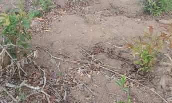 Imagem 4: Vendo linda chácara ==valor 60 mil