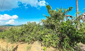 Imagem 7: Sitio de 10 tarefas a venda na região da Várzea Valença BA!