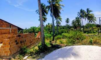 Imagem: Povoado aldeias no santo amaro das brotas