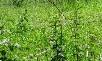 Imagem 2: Terreno em Local Tranquilo bairro Tiradentes