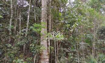 Imagem 3: Terreno à venda, 466609 m² por R$ 2.200.000,00 - Zona Rural - Alfredo Chaves/ES