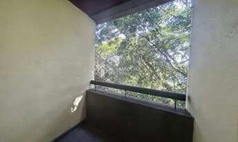 Imagem 4: Apartamento no bairro Petrópolis próximo a todos os recursos!